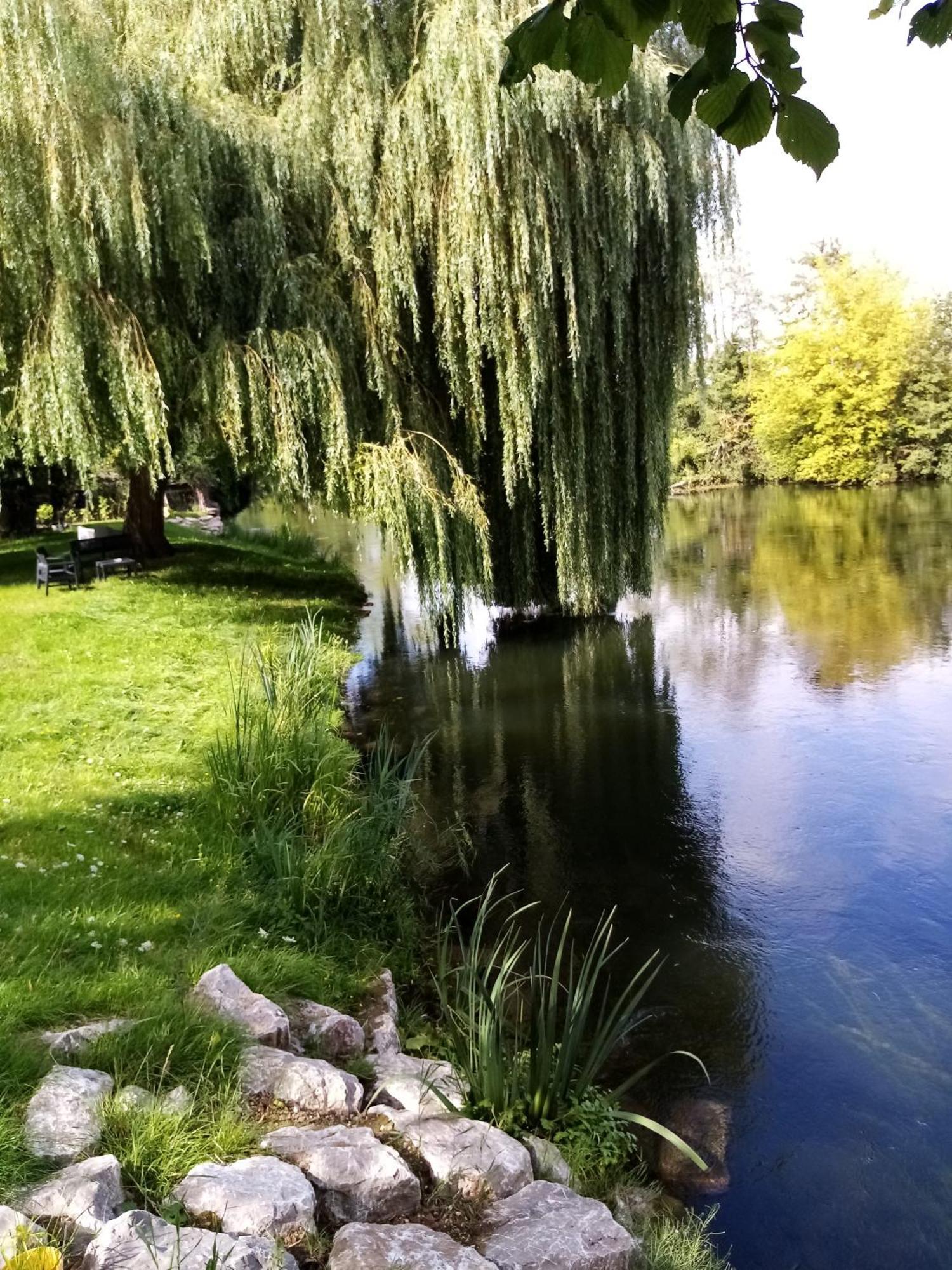 Havre De Paix Au Bords De L'Eure - Divers Hebergements Garennes-sur-Eure Exterior foto